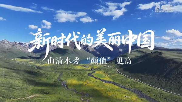 以法典之名！守護(hù)你我的美麗中國